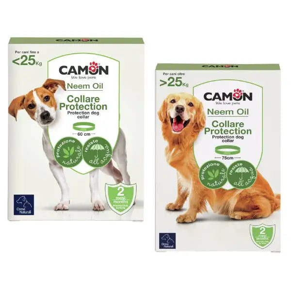 Collare Per Cani Antiparassitario | I 5 Migliori Collare Per Cani Antiparassitario | I 5 Migliori