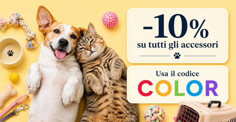 -10% su tutti gli accessori con il codice COLOR