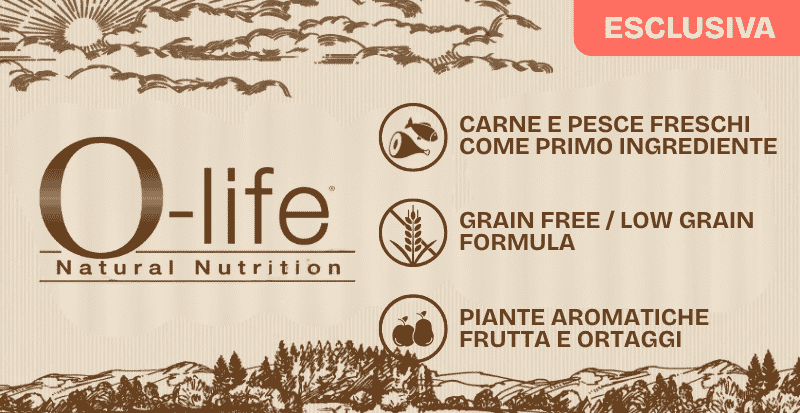 Scopri la gamma O-life