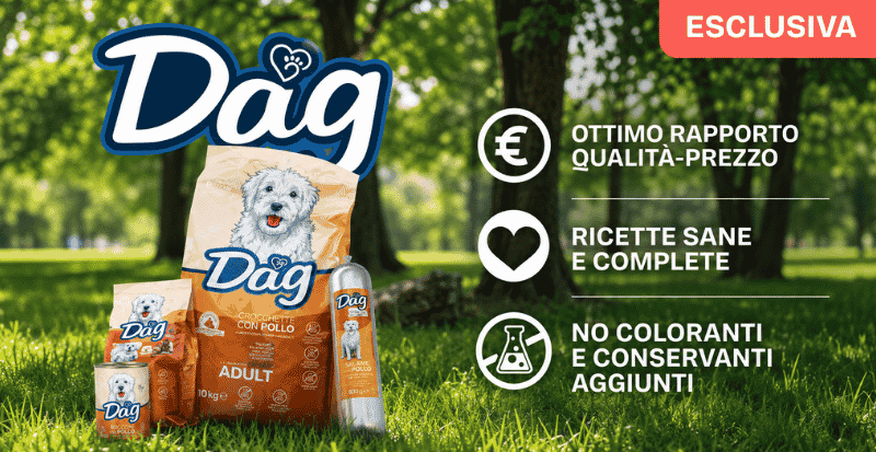 Scopri la gamma Dag