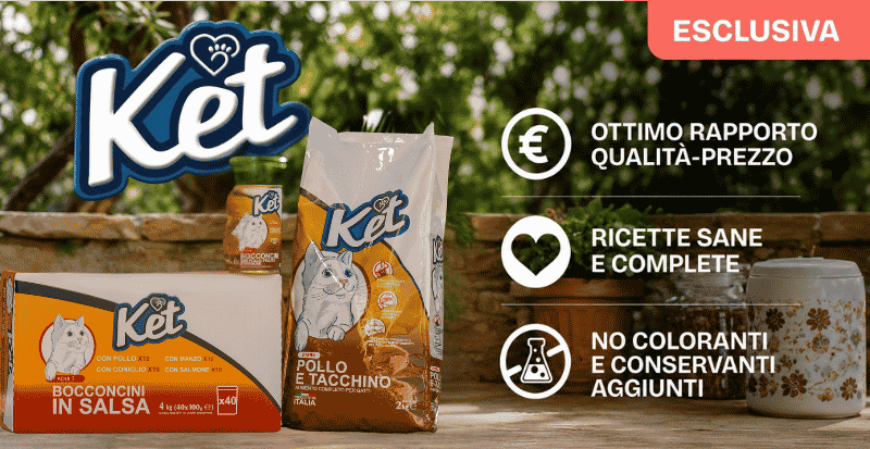 Scopri la gamma Ket