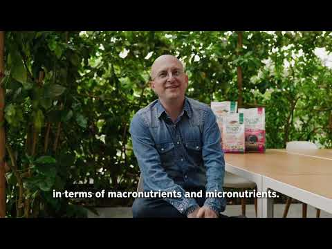 Carica video: