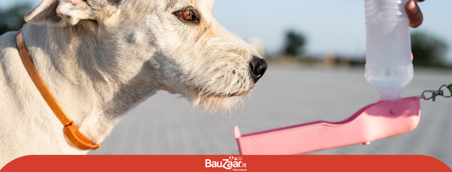 Bere, fondamentale per il tuo animale
