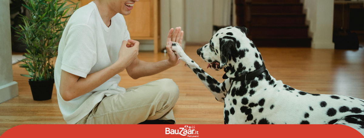 Gestire l'attivazione mentale nel cane