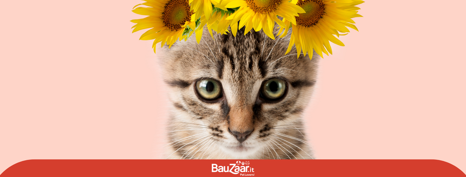 Come sarà Marzo con i nostri pet?