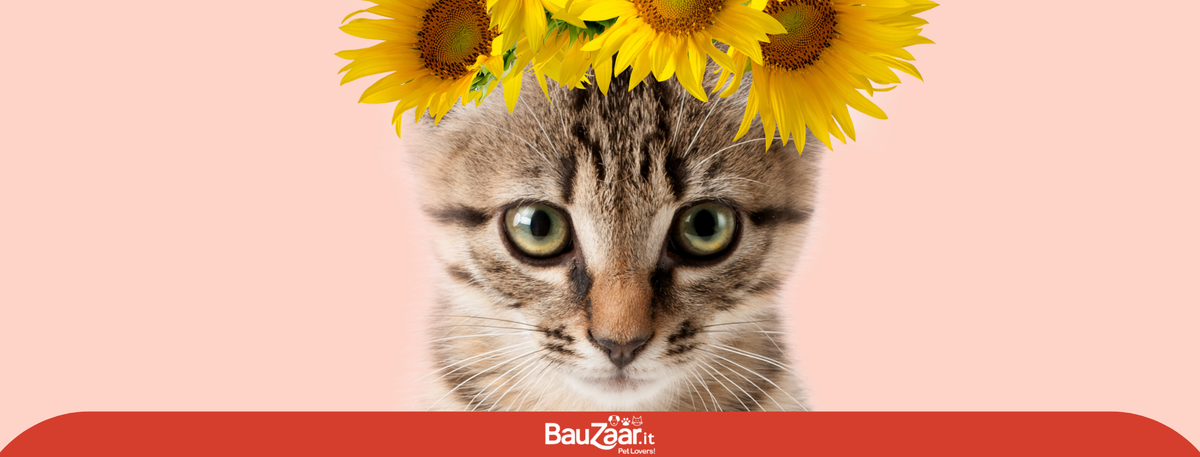 Come sarà Marzo con i nostri pet?