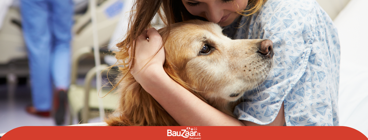 Visita ortopedica precoce e accertamenti preventivi nel cane