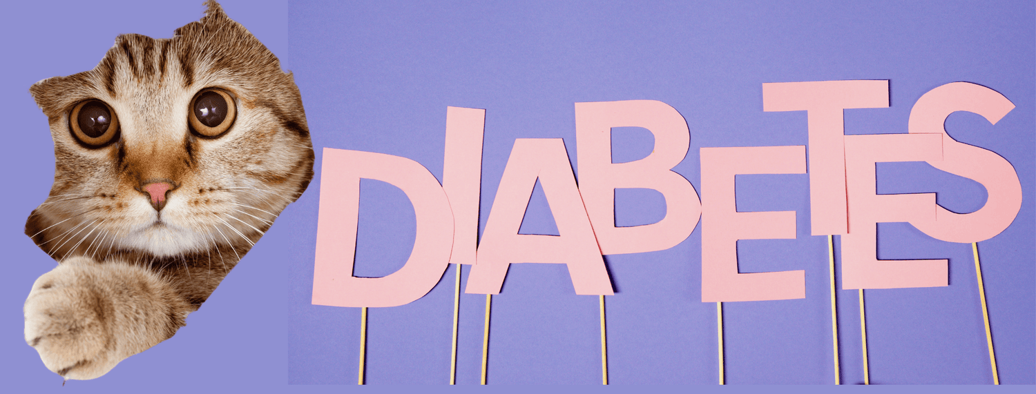 Diabete nel gatto