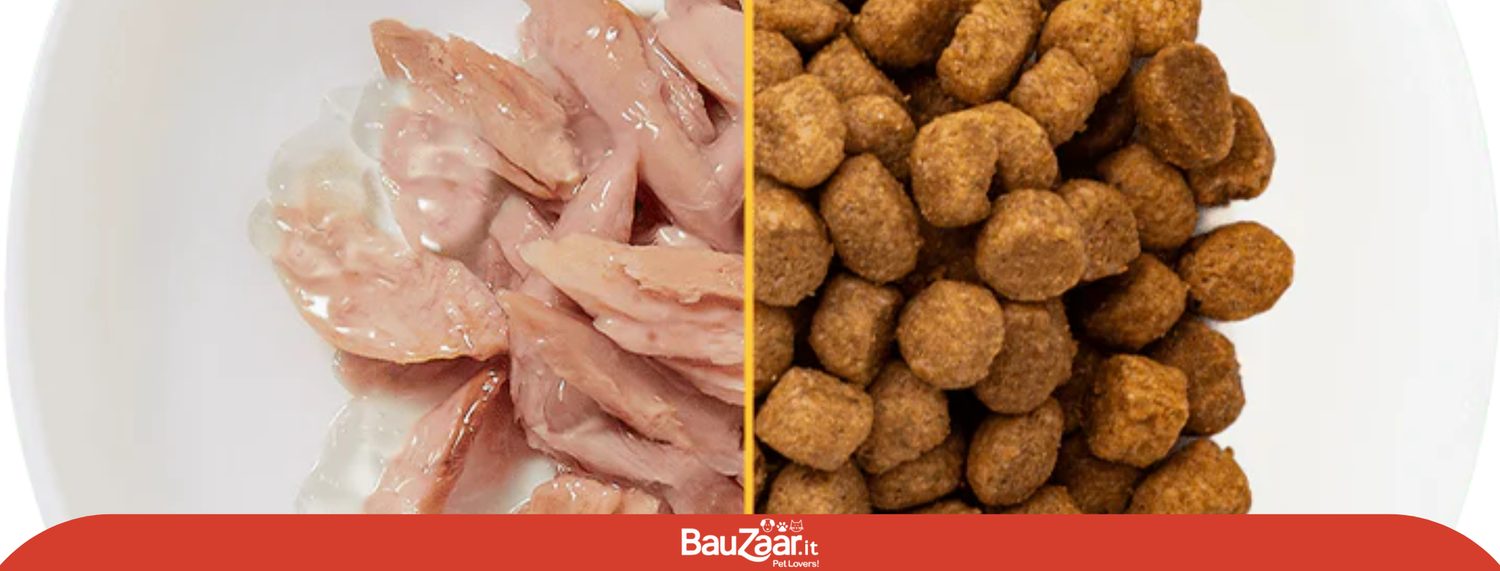 Cibo secco o cibo umido?