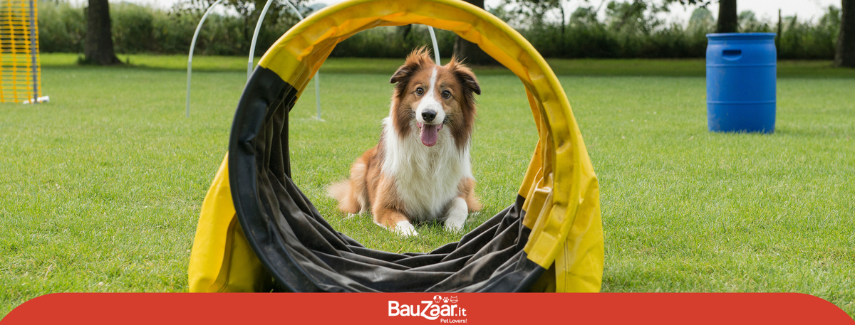fare sport insieme al cane