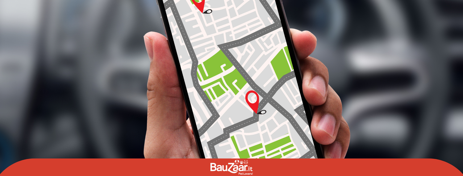 Gps per cani, perchè sono utili