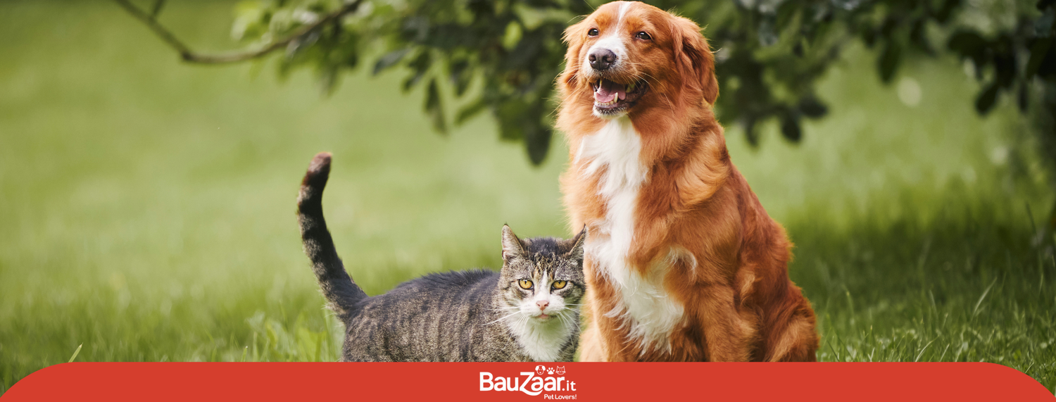 Avvelenamento: come difendere i nostri pet