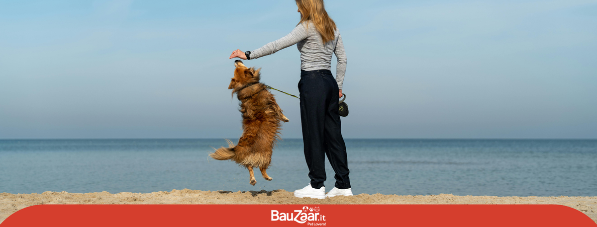 Cane e padrone: un legame di amore