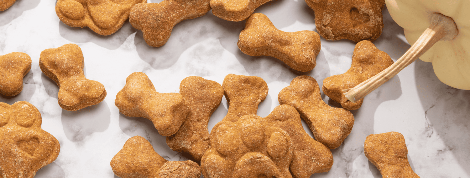 Croccantini fatti in casa per Fido