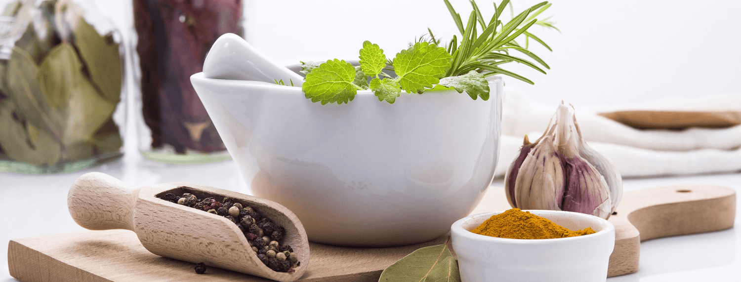 Erbe officinali per il tuo pet!