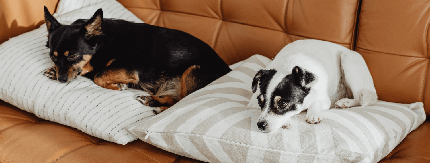Il comfort è davvero Made in Italy