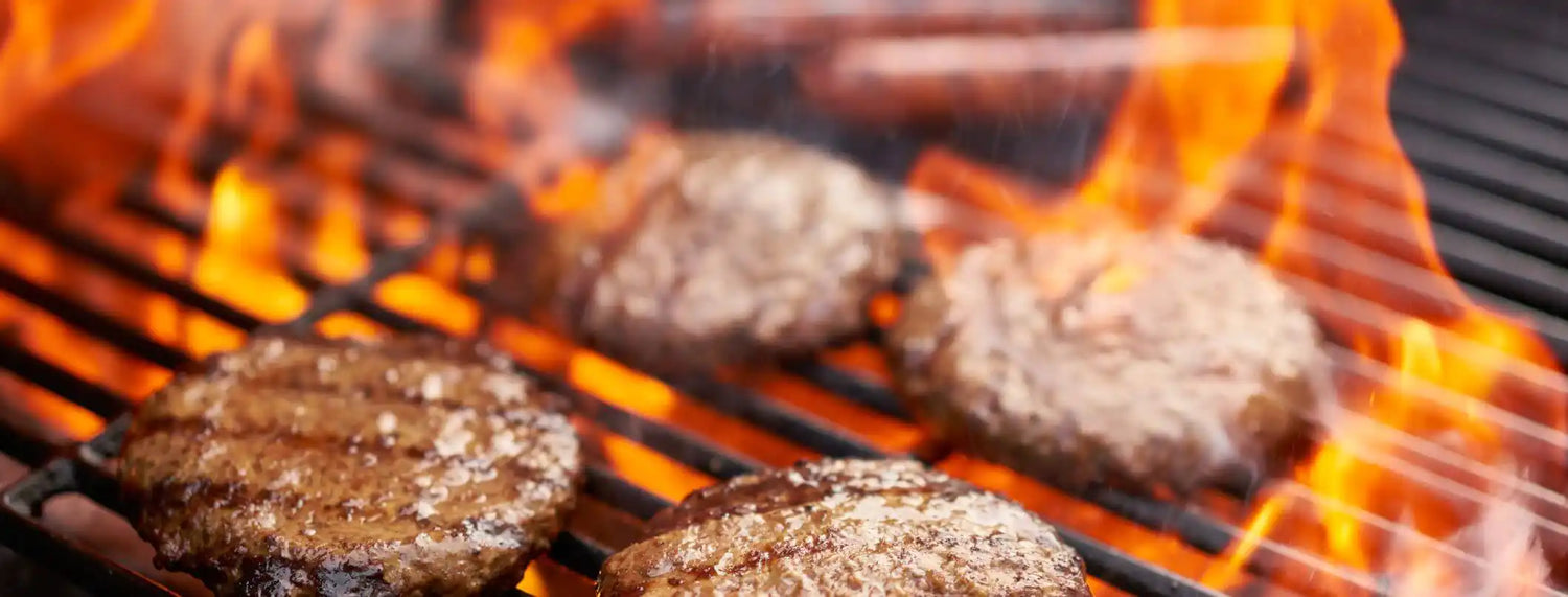 Micro Burger Approfondimenti, La voce del Brand, Razze canine, Ricette, Veterinaria  bauzaarit.myshopify.com 