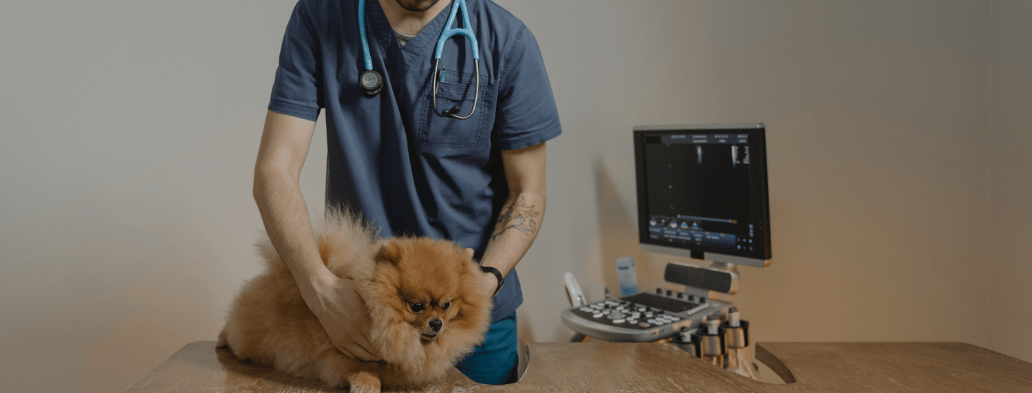 Microbioma Intestinale e disturbi gastroenterici