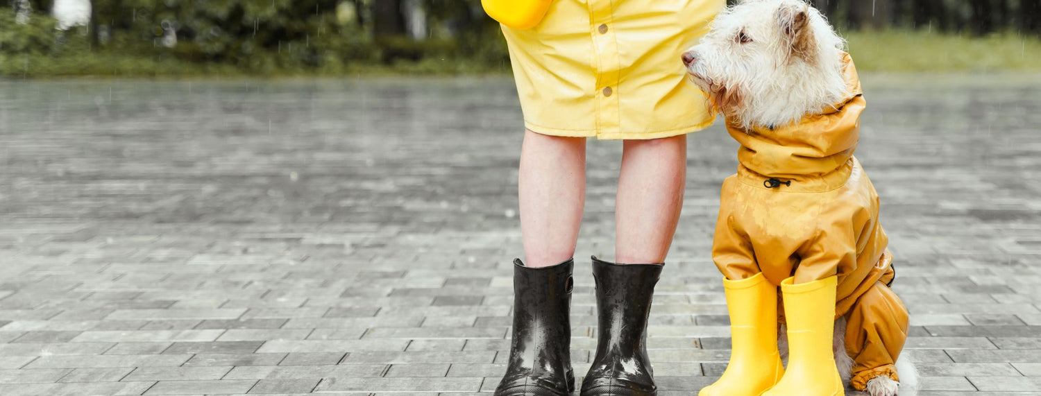 Vestire Fido? Si, soprattutto in inverno!