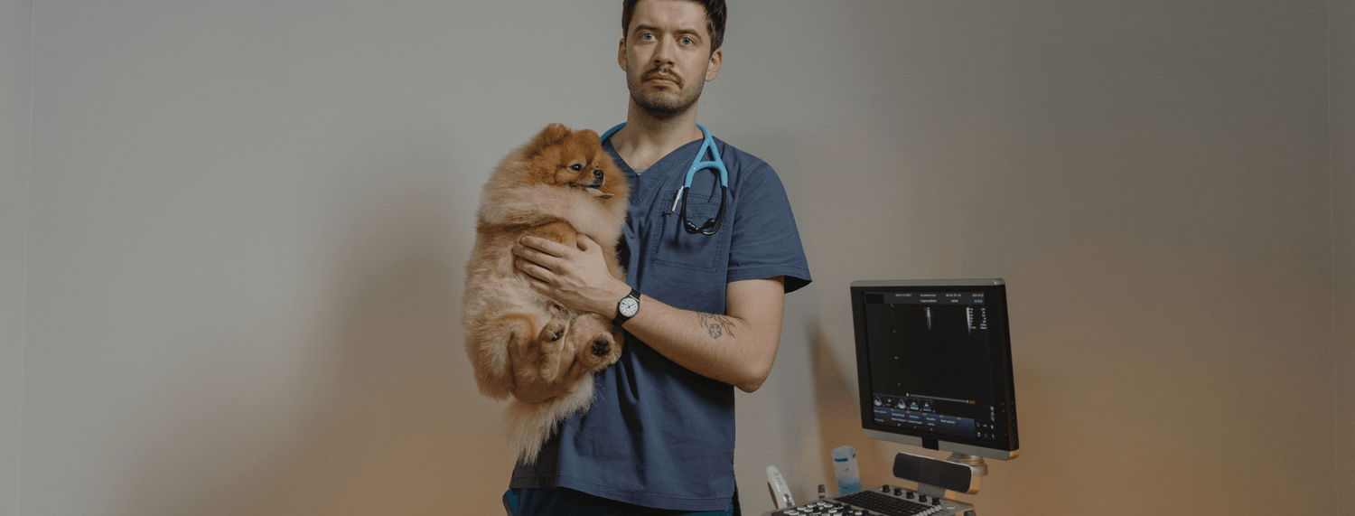 Veterinario comportamentalista