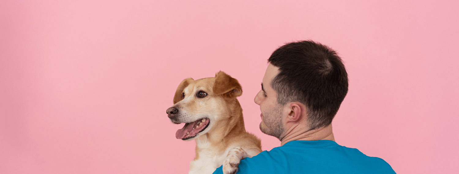 Adottare un cane: cucciolo o adulto?