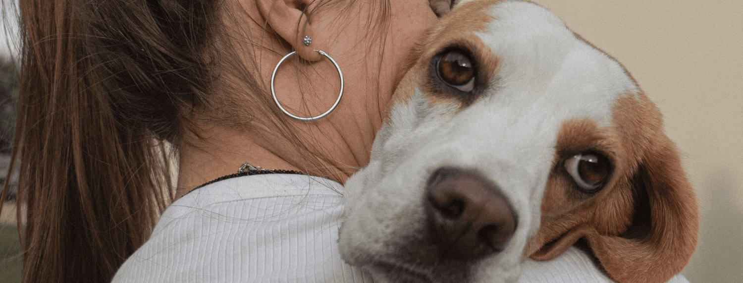Adottare un cane dal canile