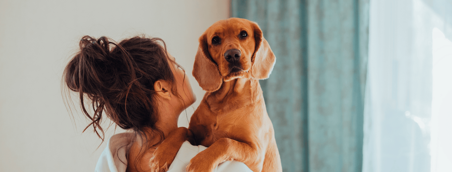 Ansia da separazione del cane: cosa fare?