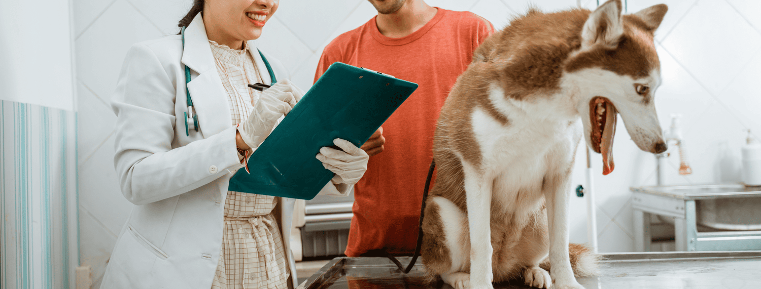 La castrazione nei cani e nei gatti: pro e contro