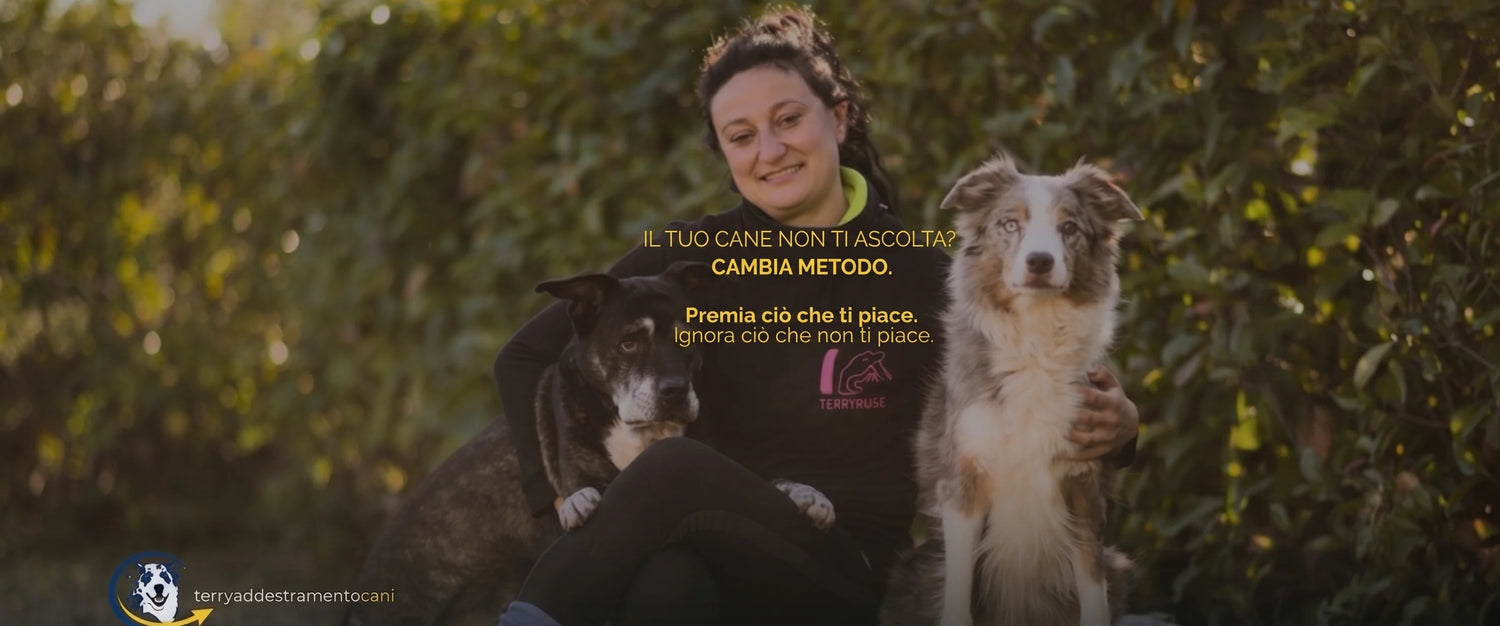 Addestramento del cane, guida completa per il suo benessere.