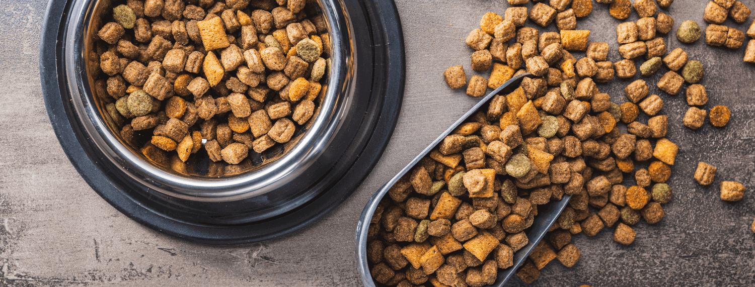 Crocchette ipoallergeniche per cani: cibo premium di alta qualità