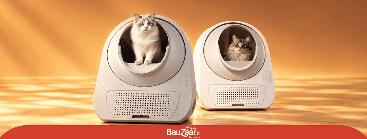 Lettiera autopulente: come funziona e come abituare il gatto