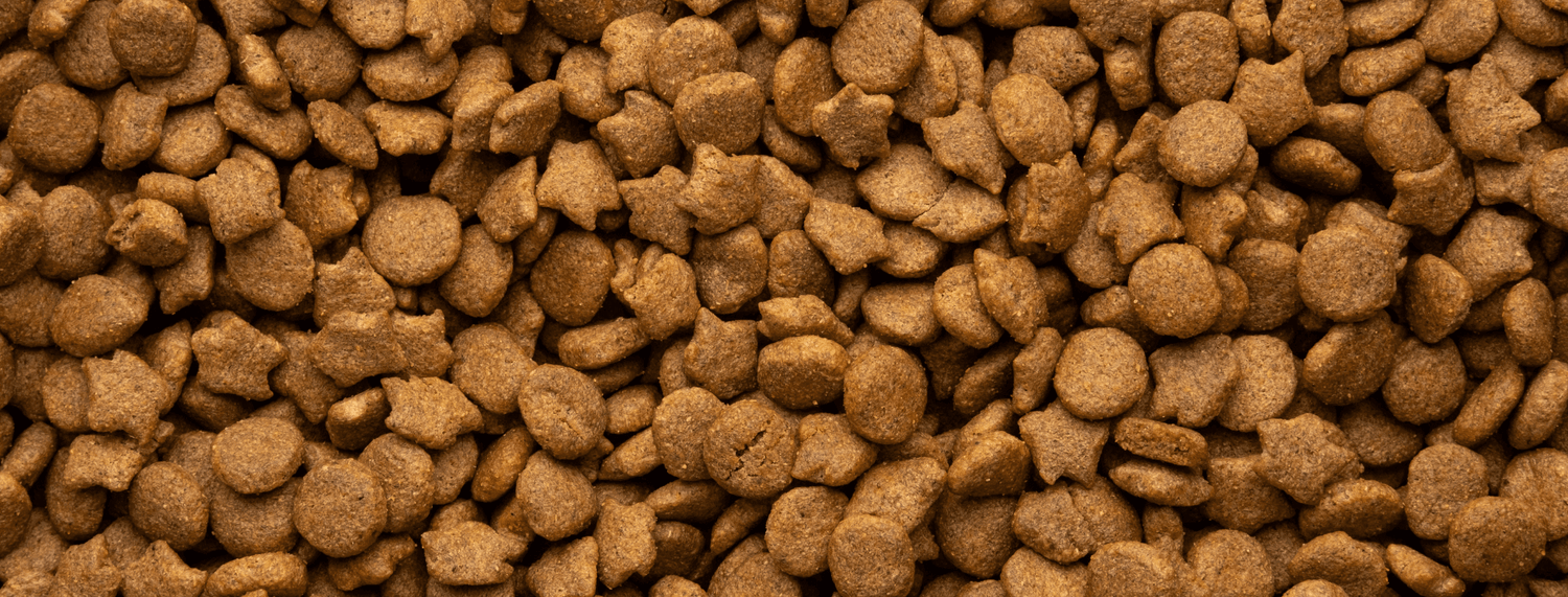 Alimenti per cani pressati a freddo