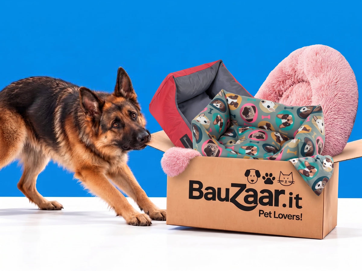 cucce per cani: scopri l'ampio assortimento disponibile sul pet store Bauzaar.it