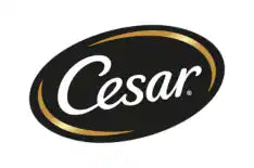 Cesar
