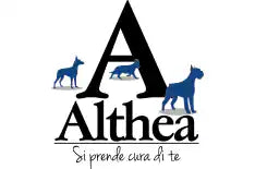 Althea