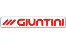 Giuntini