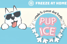 Pup Ice