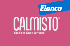 Calmisto