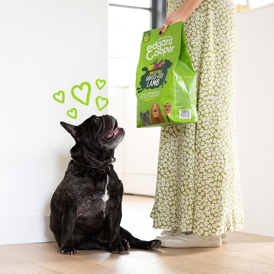 edgard & cooper adult grain free agnello immagine2