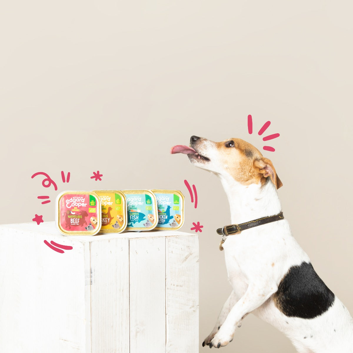 edgard & cooper adult grain free bio 100gr immagine2