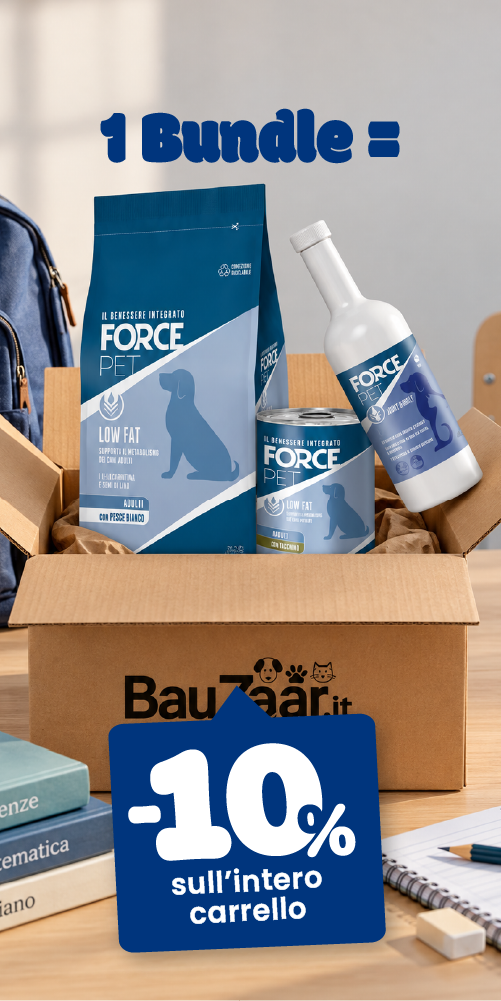 Bauzaar.it
