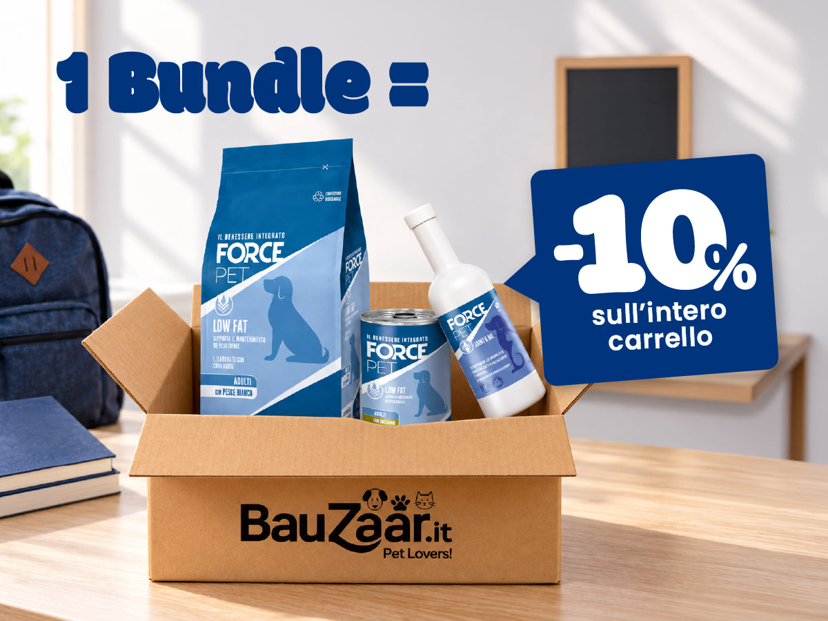 Bauzaar.it