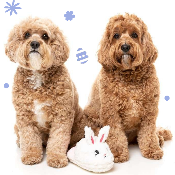 Peluche gioco per cani di Pasqua con squeaker FuzzYard