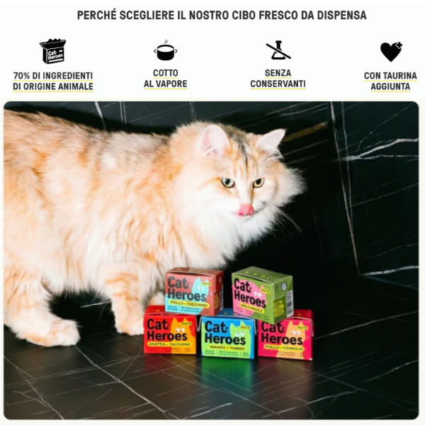 Cat Heroes Adult Patè Grain free cibo fresco da dispensa 95 gr