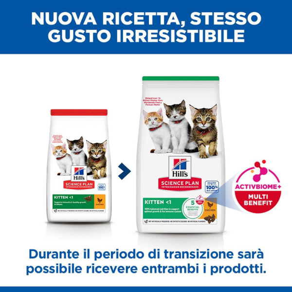 hill's science plan kitten alimento per gattini con pollo immagine4