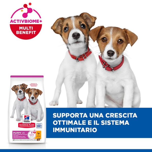 hill's science plan small & mini puppy alimento per cuccioli con pollo immagine4