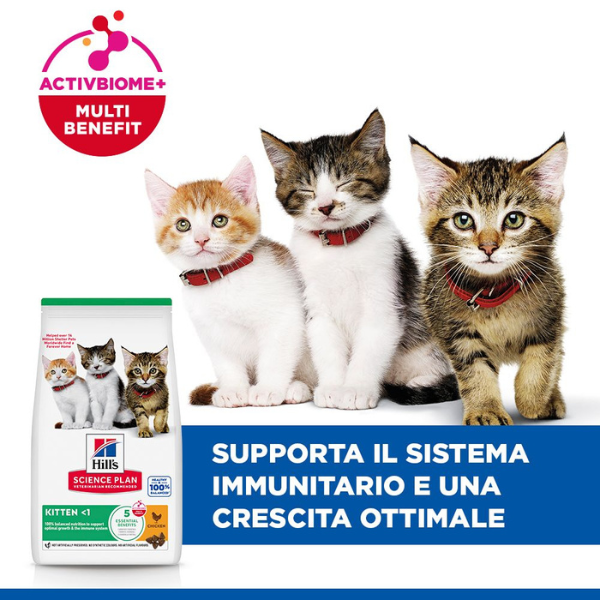 hill's science plan kitten alimento per gattini con pollo immagine5