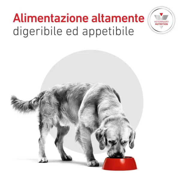 Royal Canin Veterinary Diets Glycobalance Low Carbohydrate