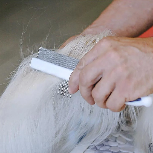 Pettine doppio per cani con pelo medio e lungo GRO Premium Ferplast