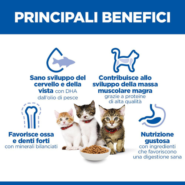hill's science plan kitten alimento per gattini con pollo immagine6